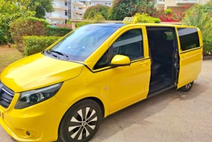 Athènes : Visite privée avec prise en charge de la croisière et guide optionnel