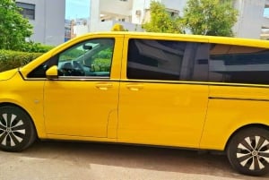 Athènes : Visite privée avec prise en charge de la croisière et guide optionnel