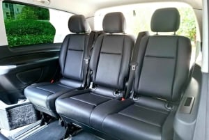 Athènes : Visite privée avec prise en charge de la croisière et guide optionnel