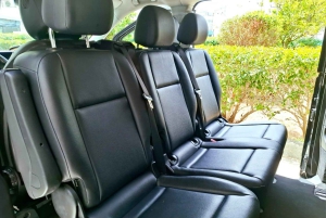 Athènes : Visite privée avec prise en charge de la croisière et guide optionnel