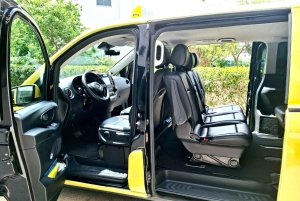 Athènes : Visite privée avec prise en charge de la croisière et guide optionnel