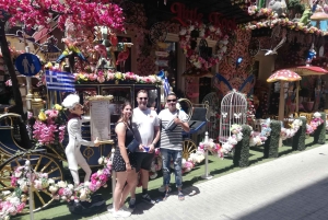 Ateny: wycieczka piesza prywatna z lokalnym przewodnikiem