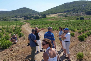 Athens: Private Wine Tour and Lunch at the Seaside