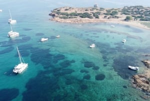 Athènes : Excursion en catamaran sur la Riviera avec repas et boissons