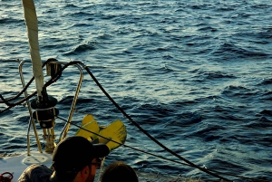 Atenas: Excursión en Catamarán por la Riviera con Comida y Bebidas Frescas