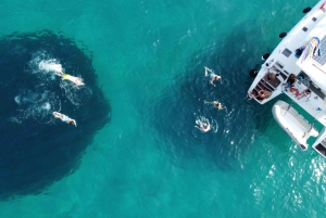 Atenas: Excursión en Catamarán por la Riviera con Comida y Bebidas Frescas