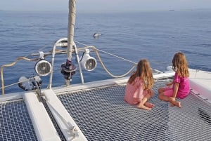 Atheense Rivièra: Privé catamaran cruise van een halve dag