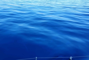 Частный круиз на катамаране по Афинской Ривьере с питанием и напитками