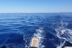 Частный круиз на катамаране по Афинской Ривьере с питанием и напитками