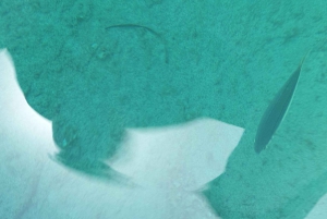 Частный круиз на катамаране по Афинской Ривьере с питанием и напитками