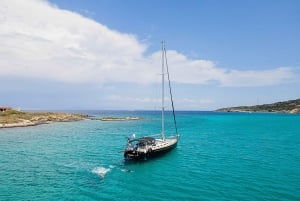 Athens Riviera: Private daily sailing cruise with lunch