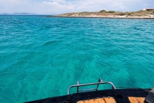 Athens Riviera: Private daily sailing cruise with lunch
