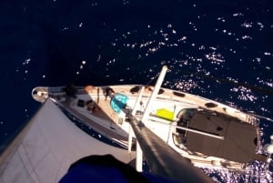 Athens Riviera: Private Luxury Sailing Cruise with Lunch