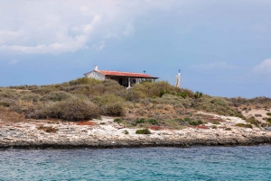 Athens Riviera: Private Luxury Sailing Cruise with Lunch