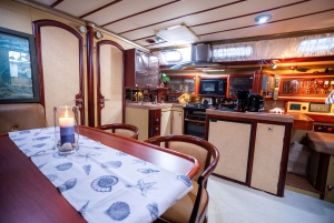Athens Riviera: Private Luxury Sailing Cruise with Lunch