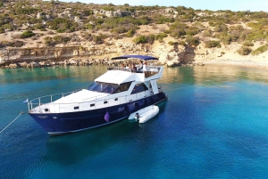Athens Riviera Private Yacht Cruise & Poseidon Temple Visit