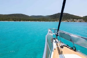 Riviera di Atene: Crociera giornaliera in barca a vela semi-privata con pranzo