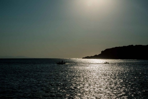 Athens Riviera Sunset Cruise with Food & Drink Pairing