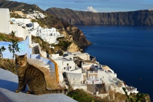 Athen: Santorini fergebillett med hotelltransport