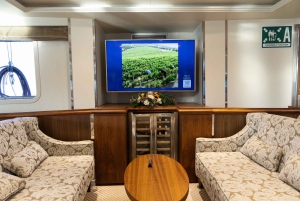 Athen: Krydstogt på De Saroniske Øer med VIP-pladser og frokost