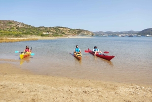 Athens: Sea Kayaking Adventure on the South/East Coast