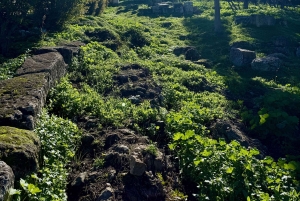 Atene: luoghi mitologici segreti con la migliore vista sull'Acropoli