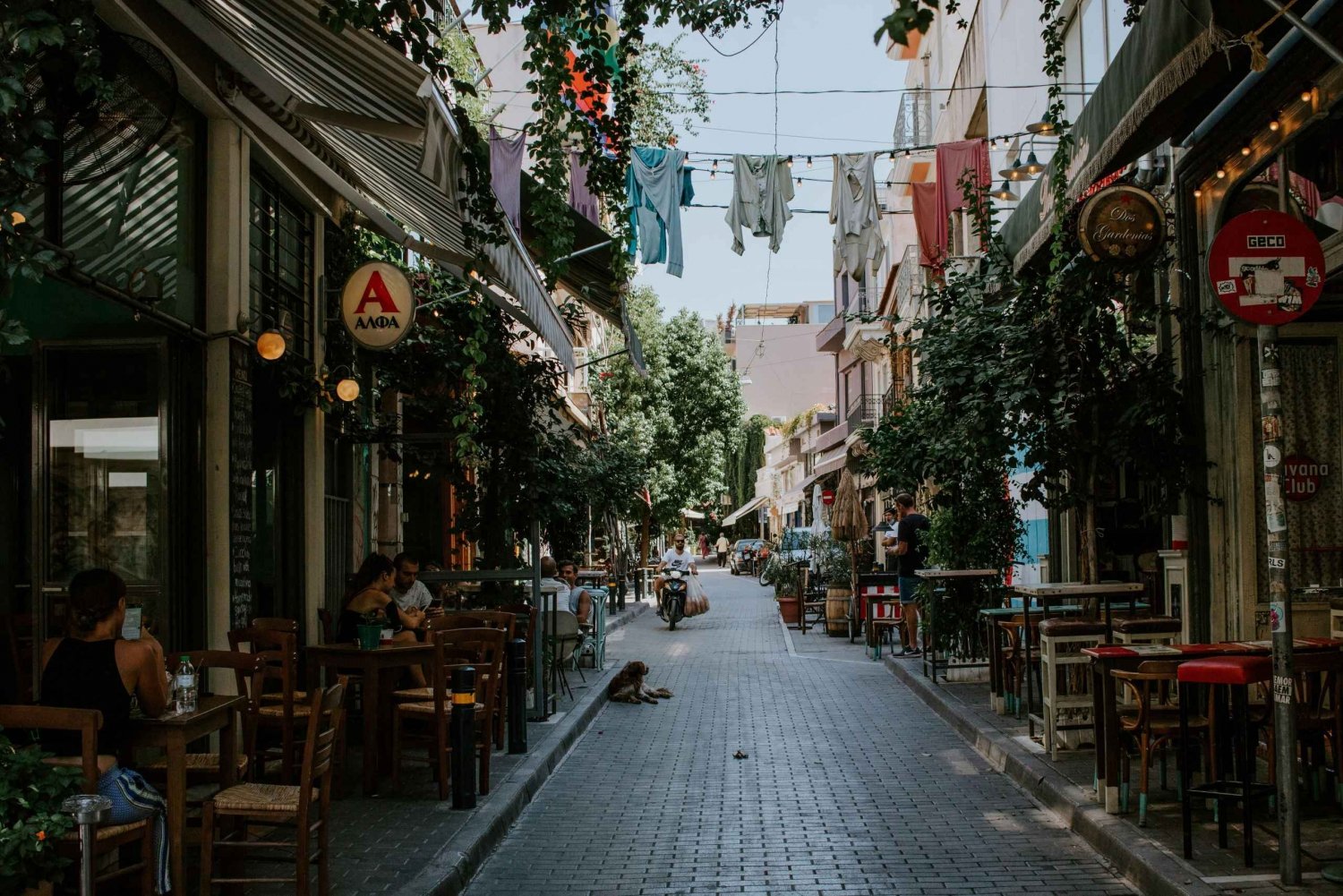 Athen: Pubcrawl med små grupper på taget og skæve natlige perler