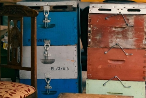 Atenas: Passeio e degustação em pequeno grupo para viajantes de cruzeiro