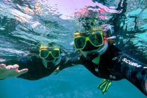 Athens: Snorkeling Riviera Adventure