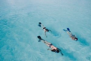 Athens: Snorkeling Riviera Adventure