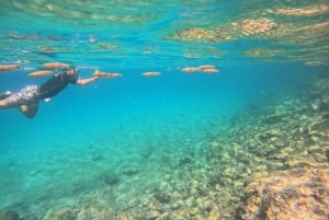 Athens: Snorkeling Riviera Adventure