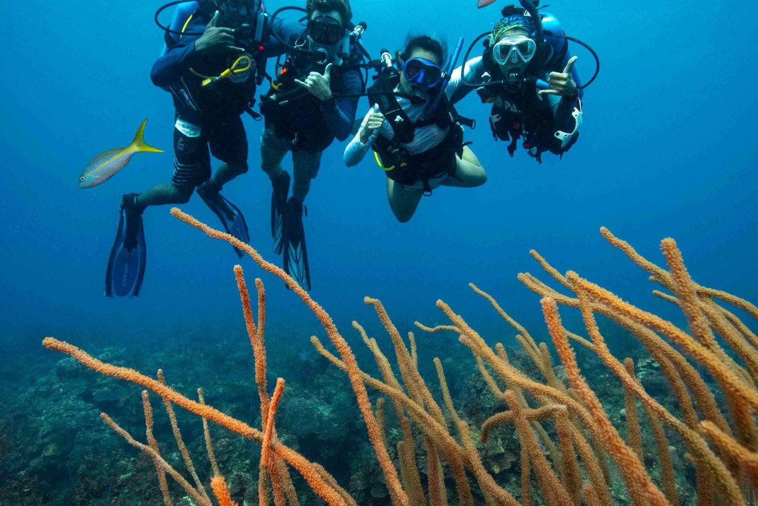 Atenas: Excursão de mergulho com snorkel