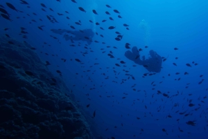 Athens: Snorkeling Tour