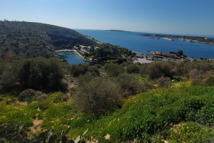 Athen: Sounio Poseidon-tempelet Athen Riviera-tur, svømming