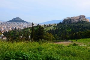 Athens: Stavros Niarchos Foundation Cultural Center Visit