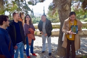 Atene: Tour guidato a piedi dell'Acropoli in lingua tedesca