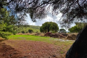 Athens: Thermal Spa Lake & Cape Sounion Day Trip