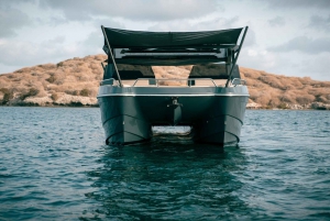 Athens to Aegina 5H Private Yacht Experience