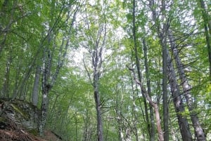 Aten till Olympusberget: 2 dagars privat tur