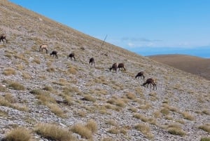 Aten till Olympusberget: 2 dagars privat tur