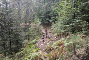 Aten till Olympusberget: 2 dagars privat tur