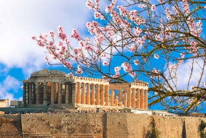 Афины: частный тур на полдня по лучшим достопримечательностям