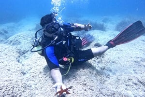 Athens: Try Scuba Diving