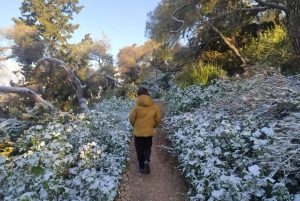 Ateena: Upea auringonnousun vaellus