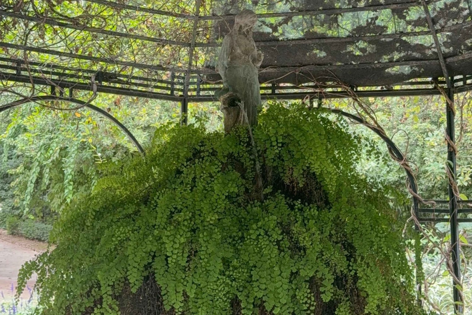 Athene: uitzicht op de Akropolis Agora Parthenon rondleiding