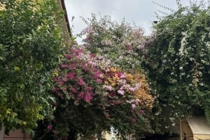 Athene: uitzicht op de Akropolis Agora Parthenon rondleiding