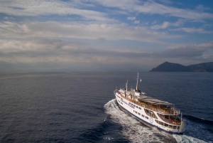 Athens: VIP Cruise with Lunch to Saronic Islands