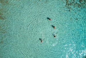 Athènes : Croisière sur les îles Saroniques avec places VIP et déjeuner