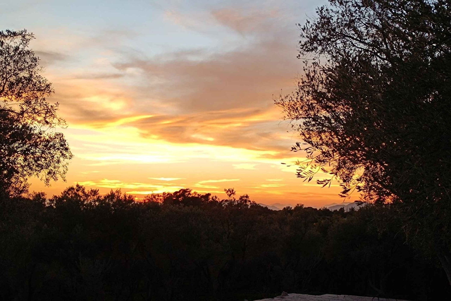 Visita guiada a pé às colinas ocidentais de Atenas