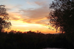 Visita guiada a pie por las Colinas Occidentales de Atenas